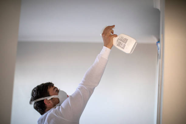 Best Mold Testing and Inspection Services in Marksville, LA